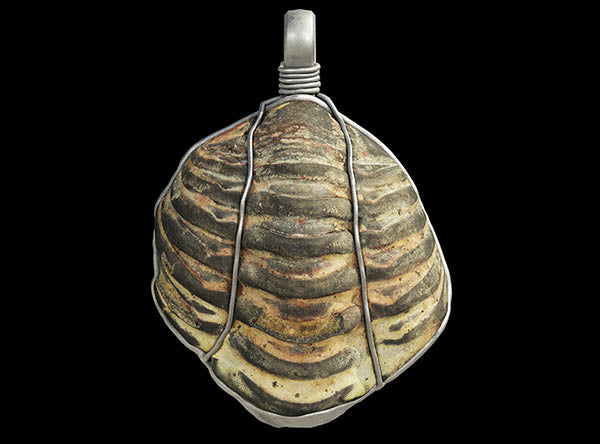 Study: Ancient Romans Wore 450-Million-Year-Old Fossils as Protective Amulets