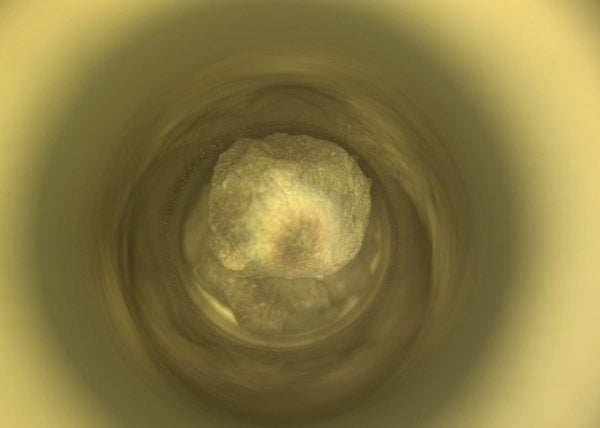 On Mars, NASA’s Perseverance Rover Collects Stone Unlike Anything Ever Seen