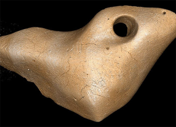 Giant Sloth Bone Jewelry Helps Rewrite History of the ‘Peopling’ of the Americas
