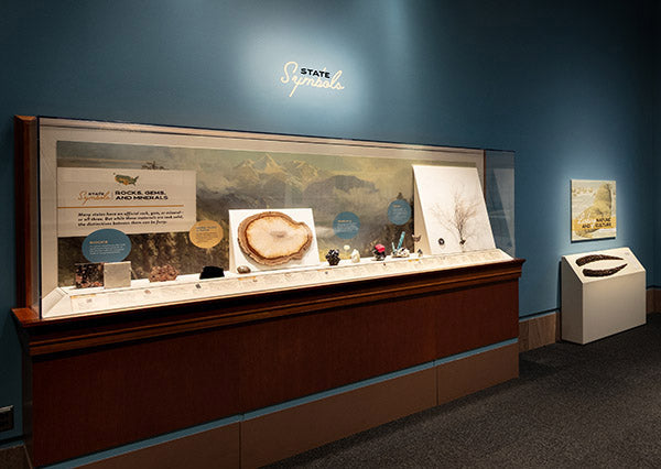 Smithsonian's New Exhibit Celebrates America's Gems, Gold and Fossils