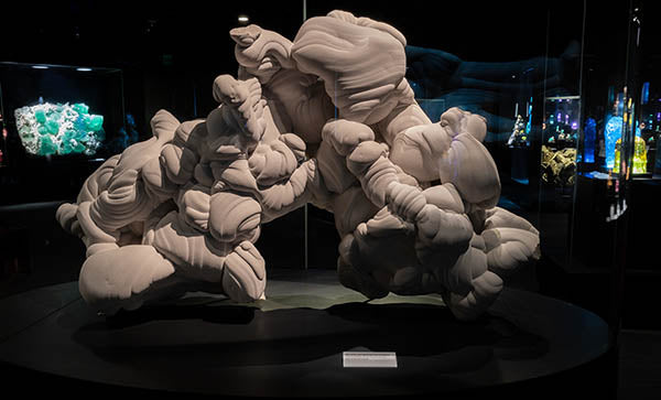 Renovated Galleries at Yale Peabody Museum Are ‘Jaw-Droppingly Beautiful’