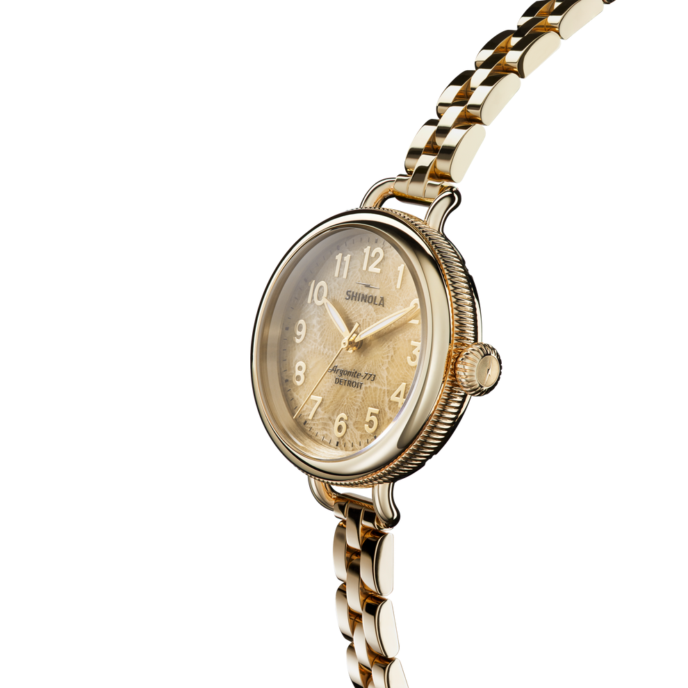 Shinola Birdy Women's 34mm Quartz Watch with Hours-Minutes-Seconds S0120183156