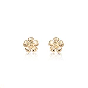Daisy Post 6.5mm Earrings 14k Yellow Gold Polished