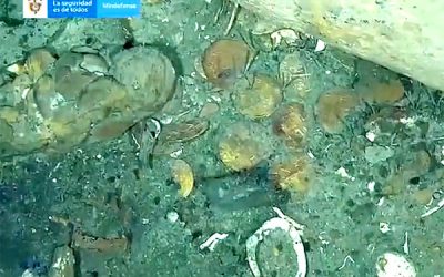 Colombian Army Releases Video of Treasure Strewn From San José Shipwreck